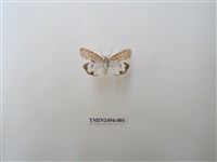 藏品(擬三色星燈蛾)的圖片